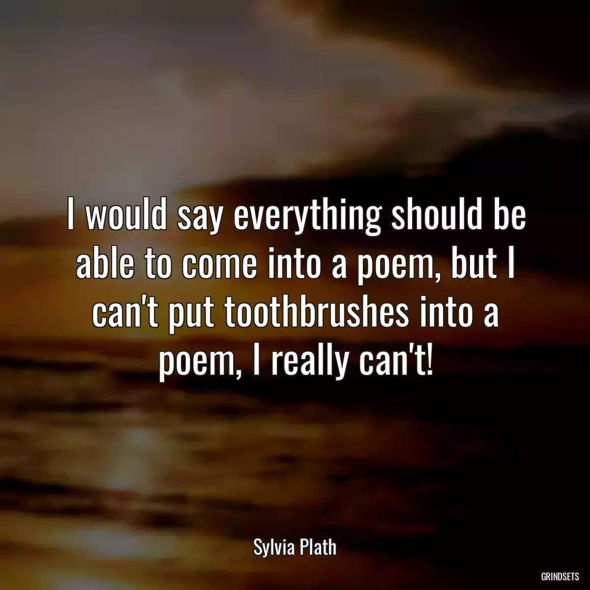 I would say everything should be able to come into a poem, but I can\'t put toothbrushes into a poem, I really can\'t!