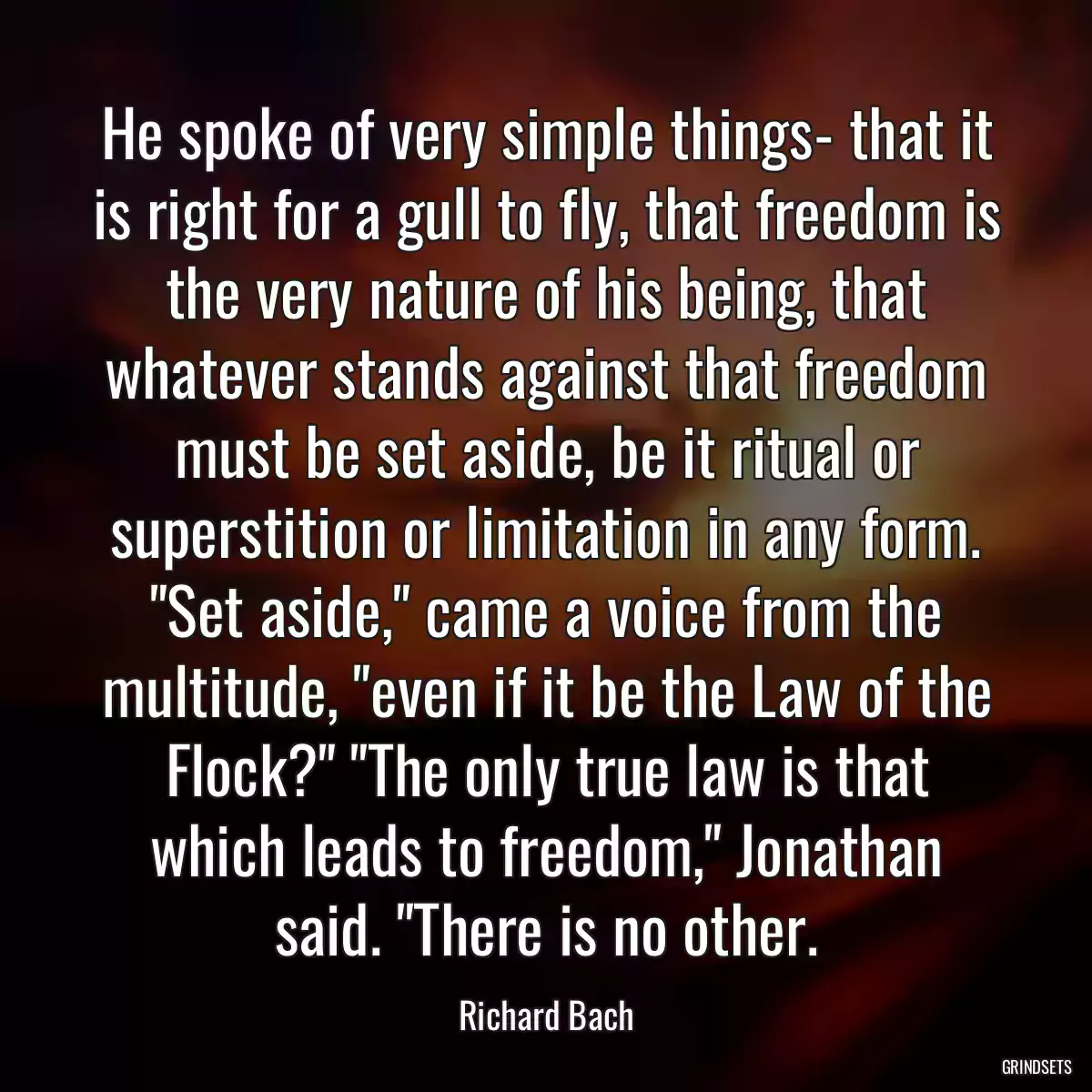 He spoke of very simple things- that it is right for a gull to fly, that freedom is the very nature of his being, that whatever stands against that freedom must be set aside, be it ritual or superstition or limitation in any form. \