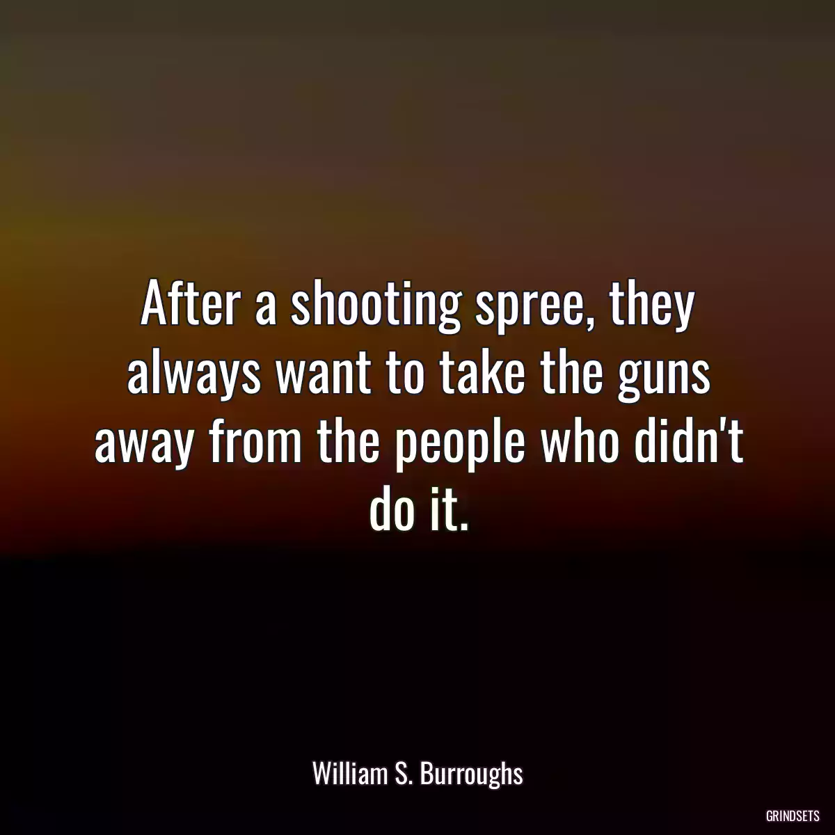 After a shooting spree, they always want to take the guns away from the people who didn\'t do it.