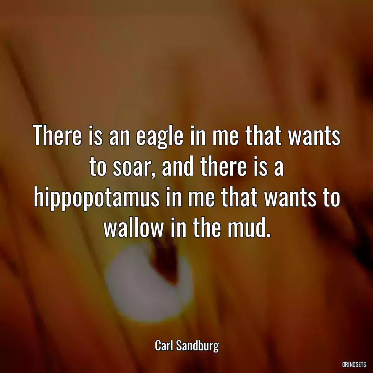 There is an eagle in me that wants to soar, and there is a hippopotamus in me that wants to wallow in the mud.