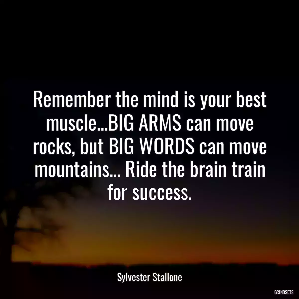 Remember the mind is your best muscle...BIG ARMS can move rocks, but BIG WORDS can move mountains... Ride the brain train for success.