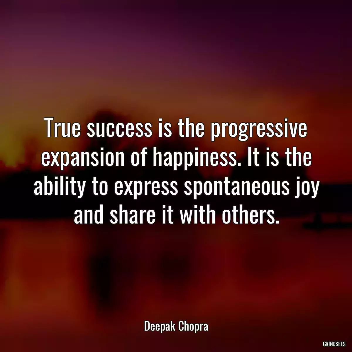 True success is the progressive expansion of happiness. It is the ability to express spontaneous joy and share it with others.