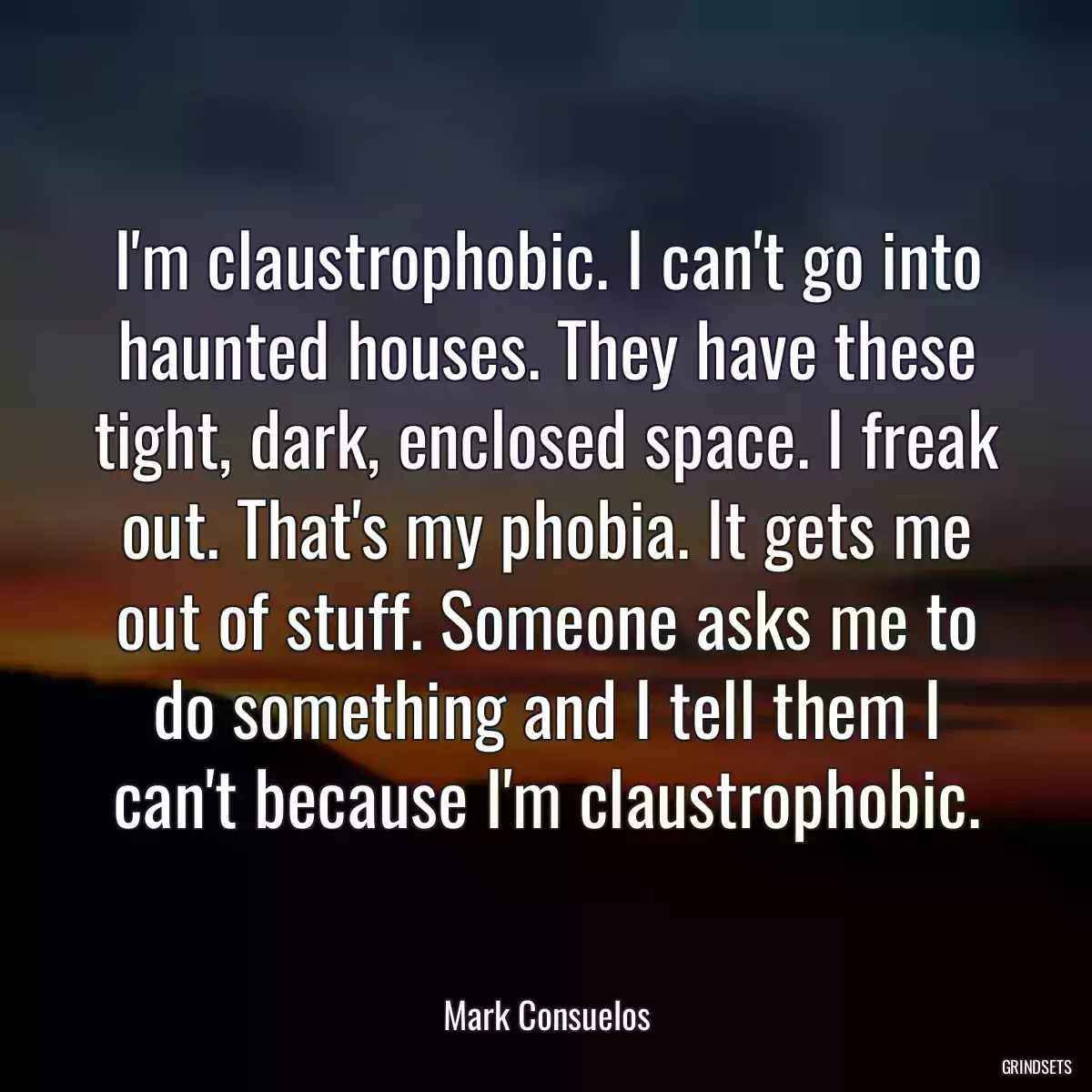 I\'m claustrophobic. I can\'t go into haunted houses. They have these tight, dark, enclosed space. I freak out. That\'s my phobia. It gets me out of stuff. Someone asks me to do something and I tell them I can\'t because I\'m claustrophobic.