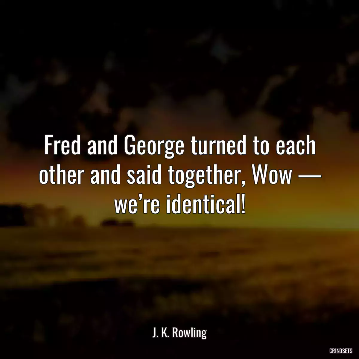 Fred and George turned to each other and said together, Wow — we’re identical!