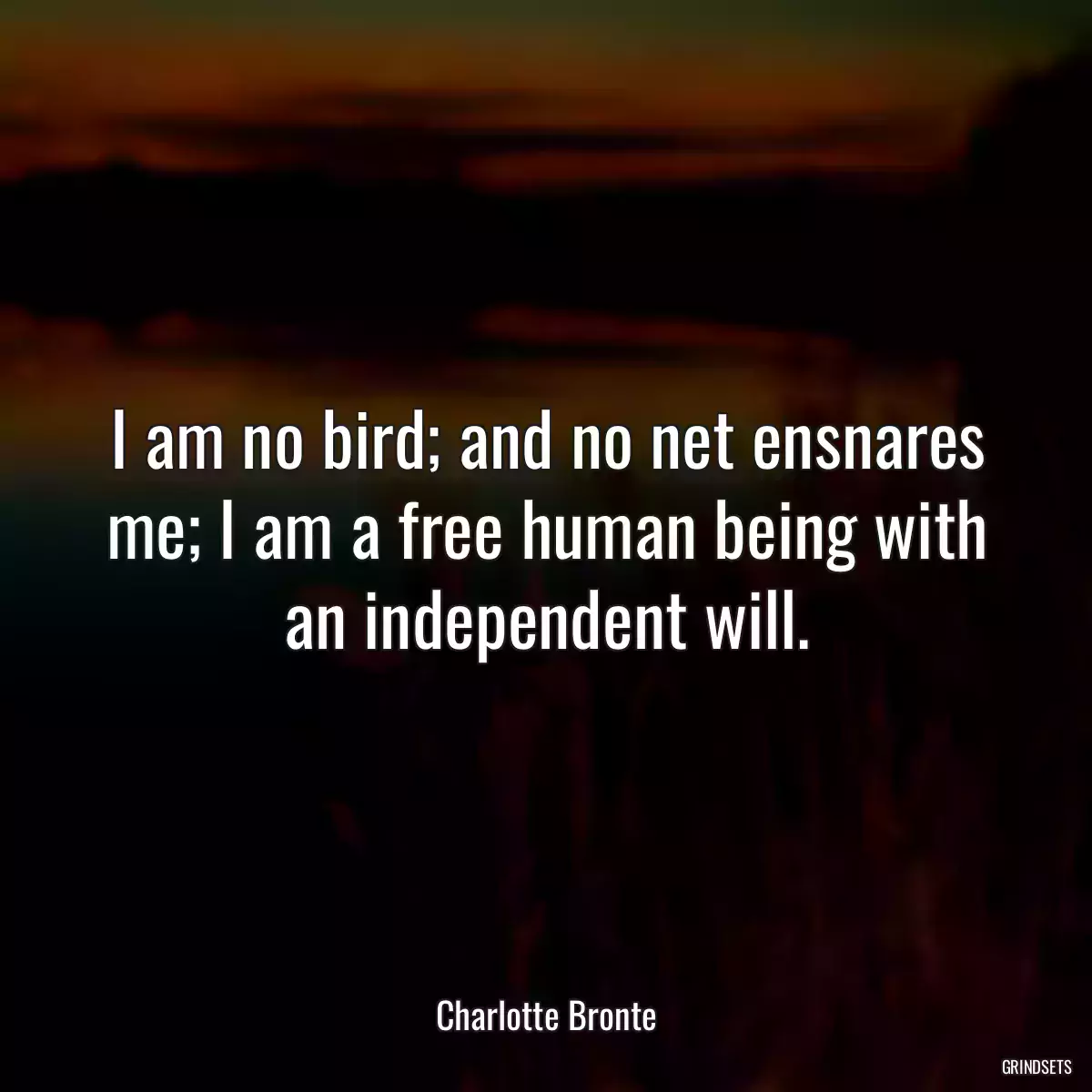 I am no bird; and no net ensnares me; I am a free human being with an independent will.