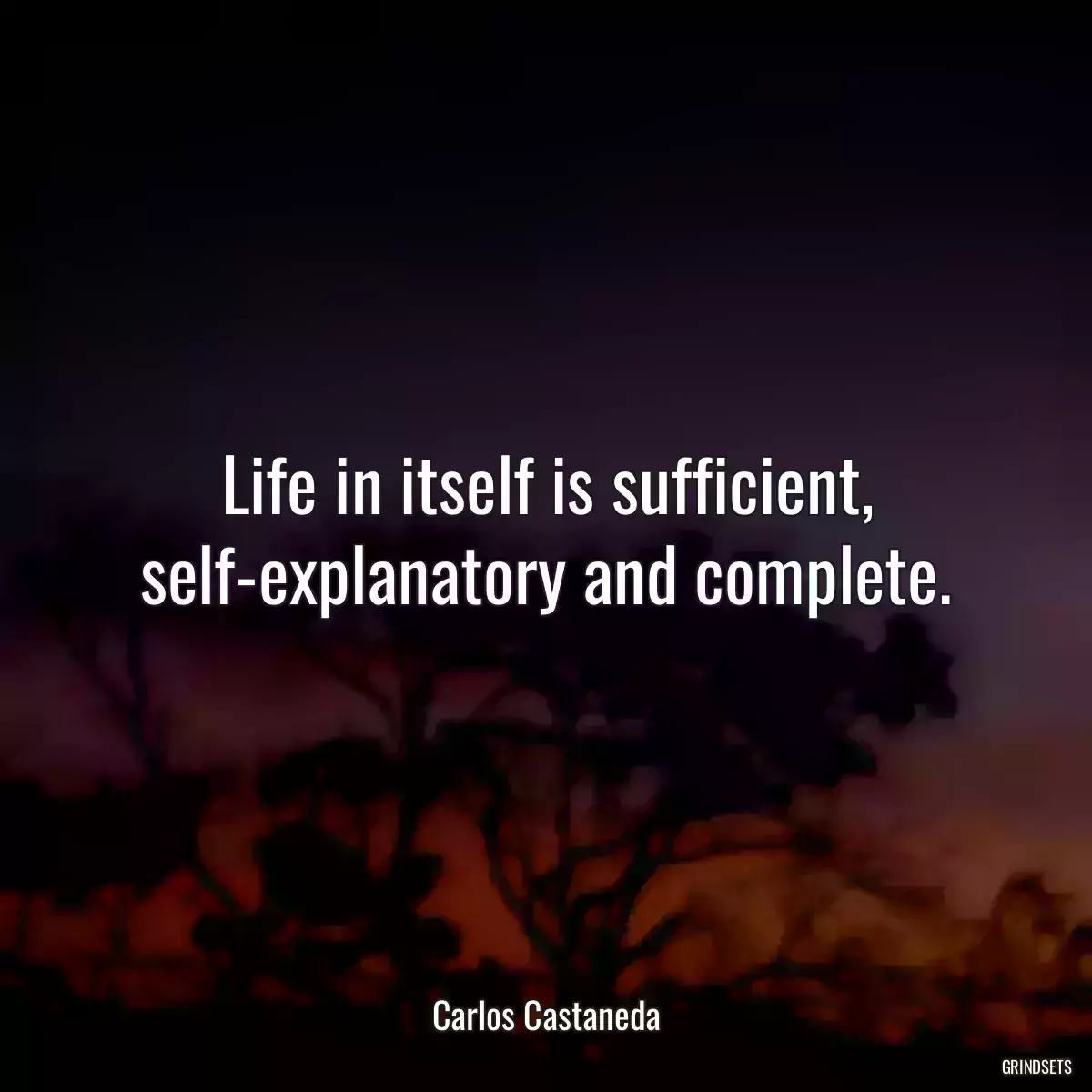 Life in itself is sufficient, self-explanatory and complete.