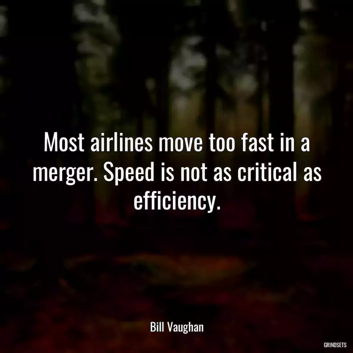 Most airlines move too fast in a merger. Speed is not as critical as efficiency.