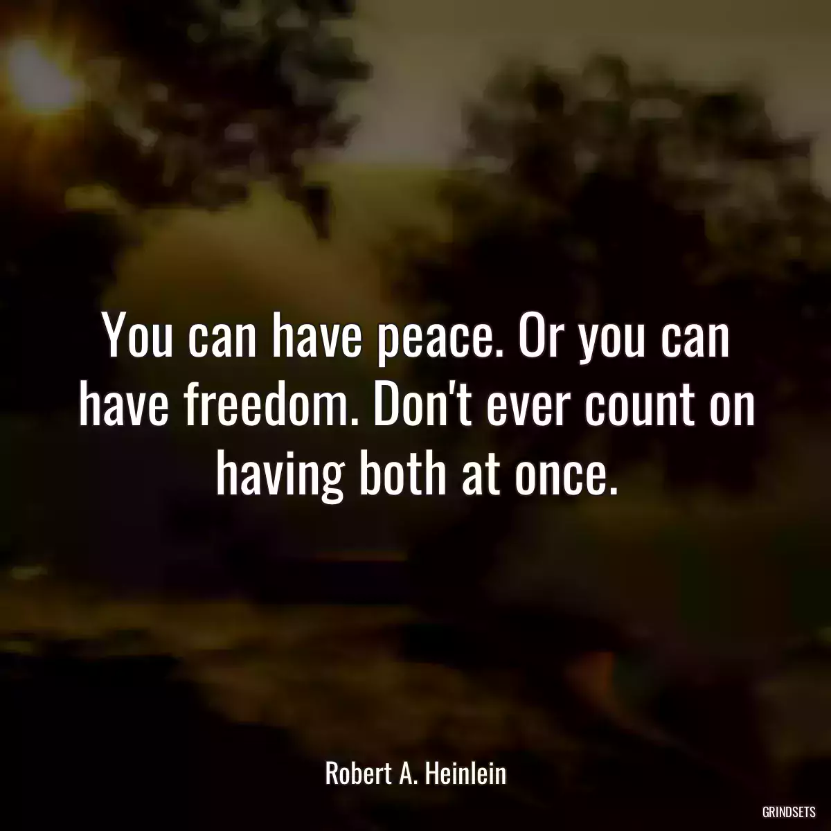 You can have peace. Or you can have freedom. Don\'t ever count on having both at once.