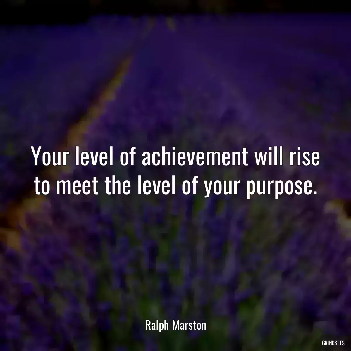 Your level of achievement will rise to meet the level of your purpose.