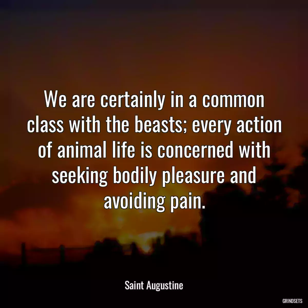 We are certainly in a common class with the beasts; every action of animal life is concerned with seeking bodily pleasure and avoiding pain.