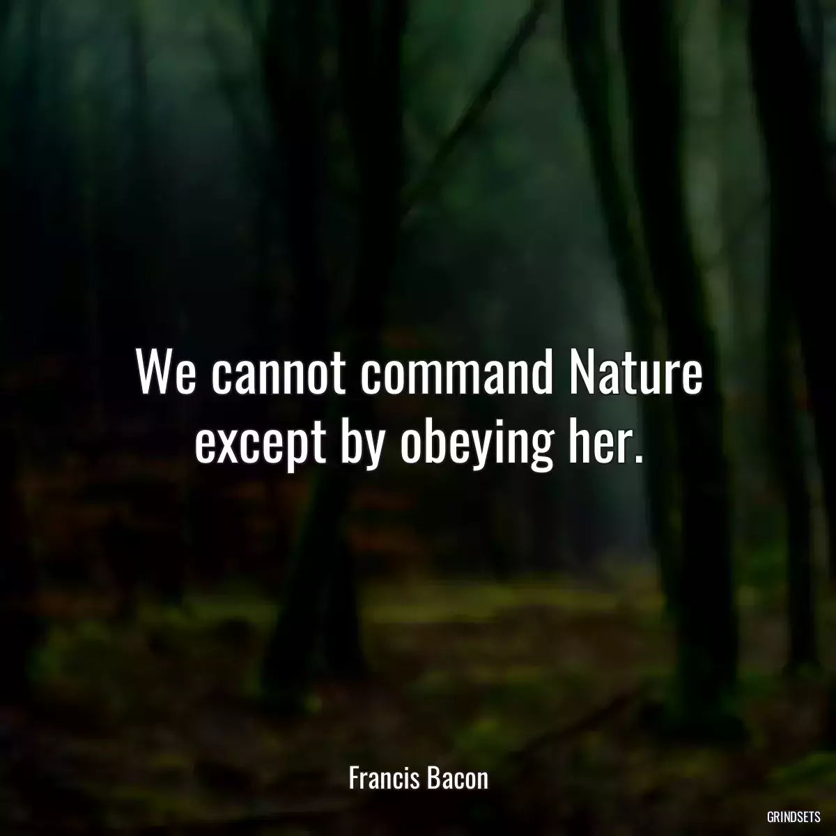 We cannot command Nature except by obeying her.