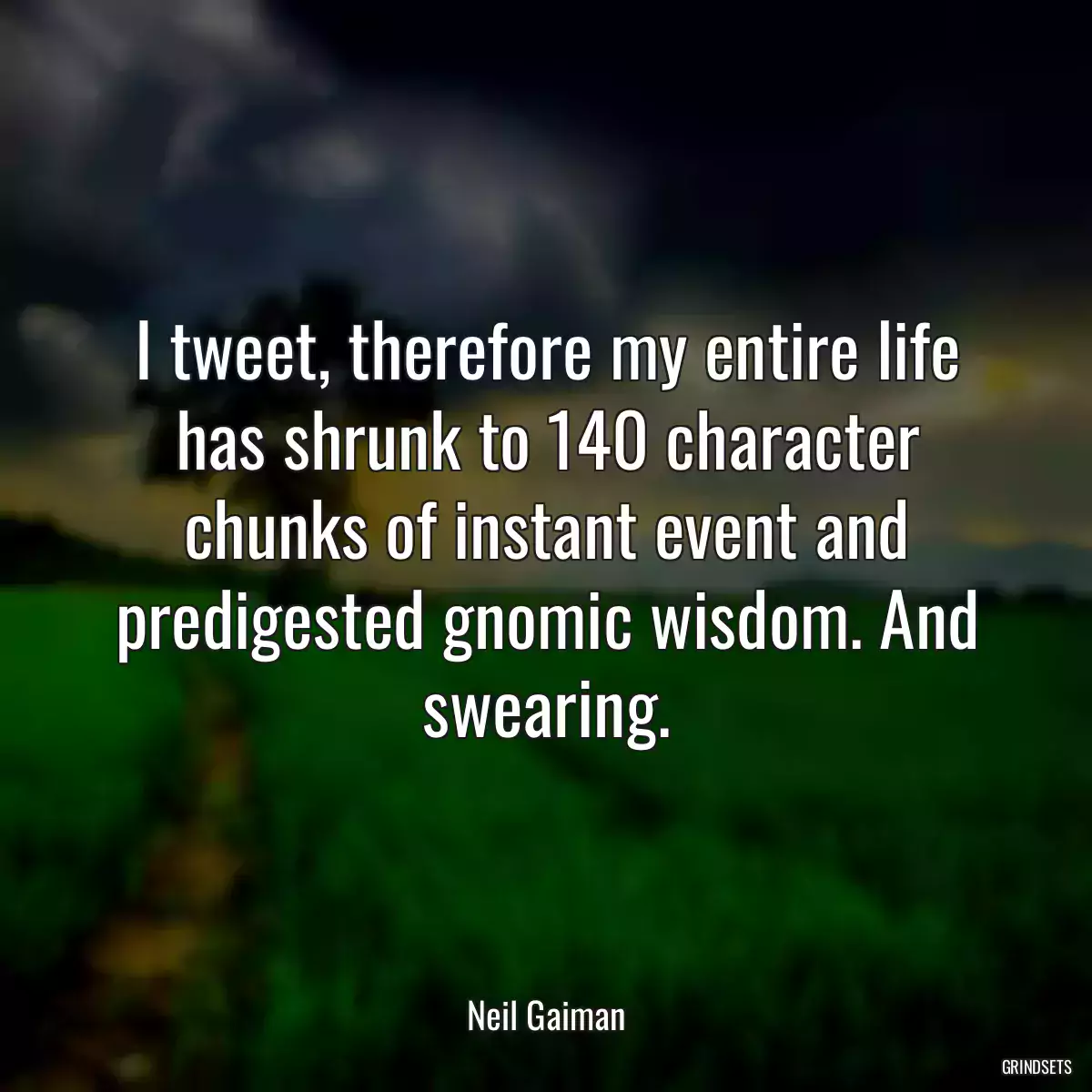 I tweet, therefore my entire life has shrunk to 140 character chunks of instant event and predigested gnomic wisdom. And swearing.