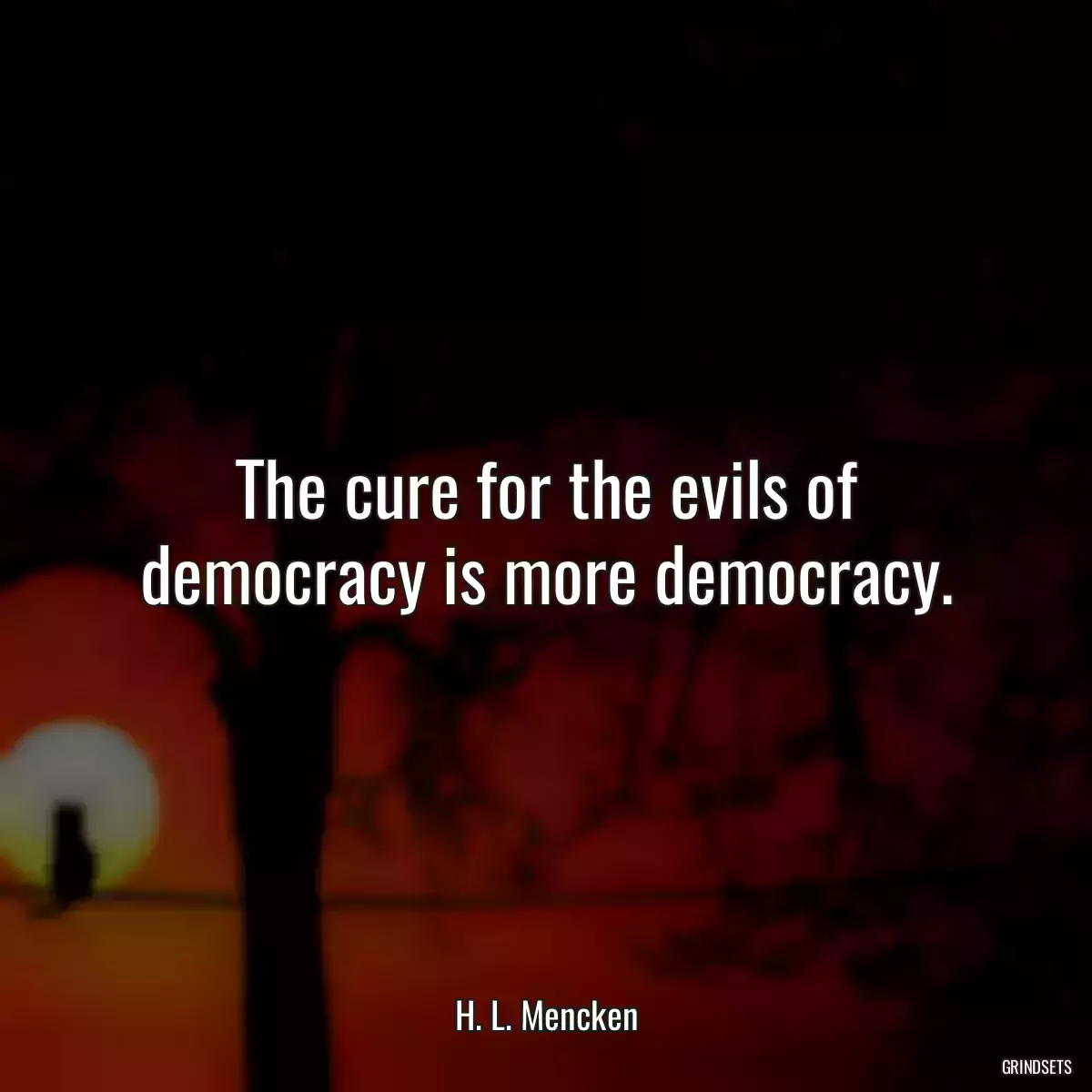 The cure for the evils of democracy is more democracy.