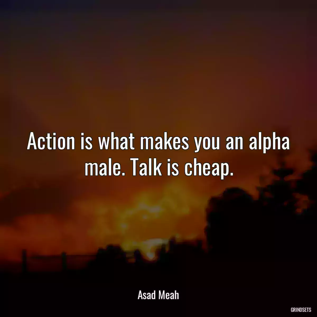 Action is what makes you an alpha male. Talk is cheap.