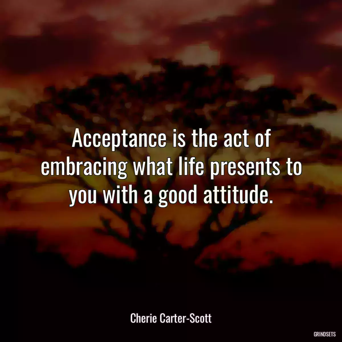 Acceptance is the act of embracing what life presents to you with a good attitude.