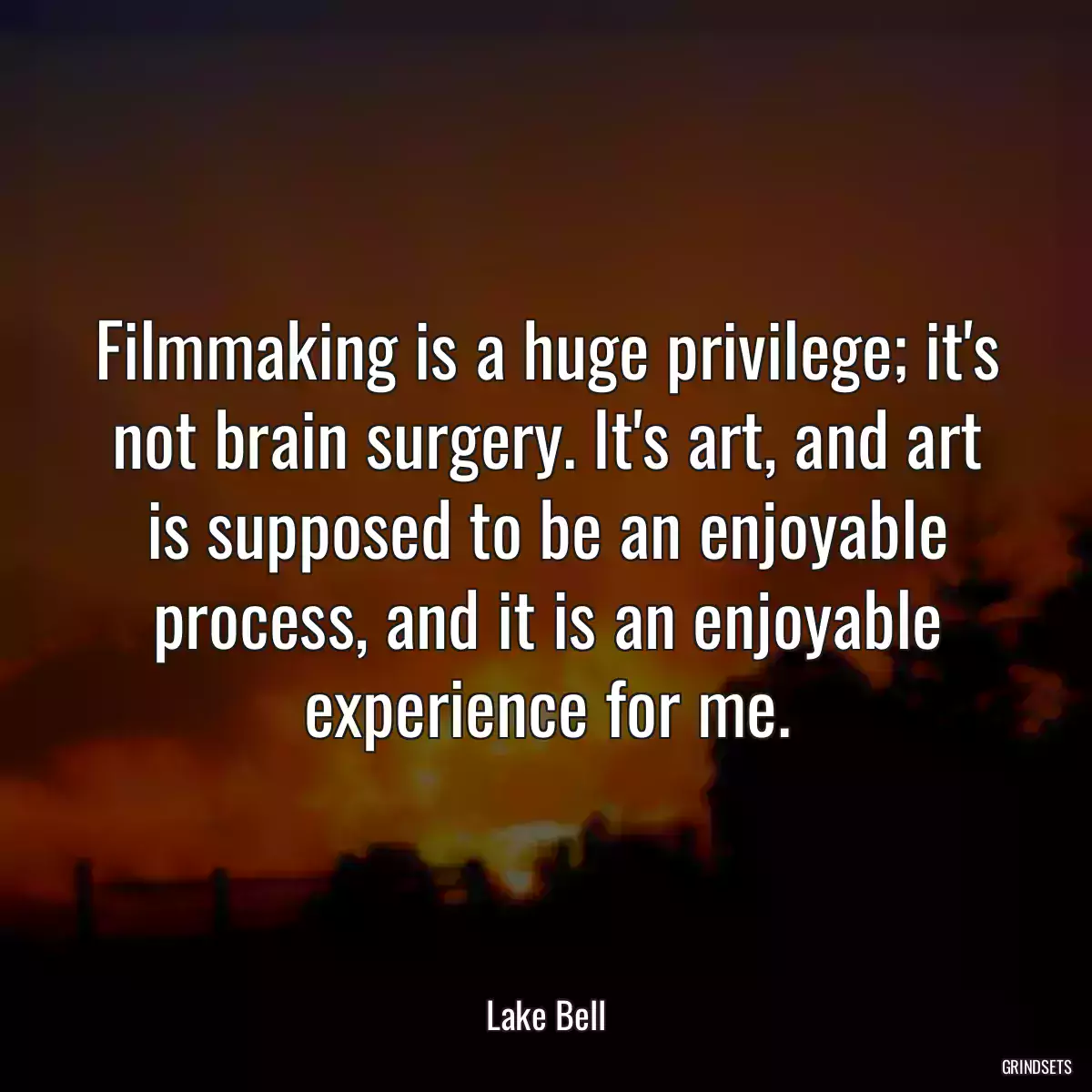 Filmmaking is a huge privilege; it\'s not brain surgery. It\'s art, and art is supposed to be an enjoyable process, and it is an enjoyable experience for me.