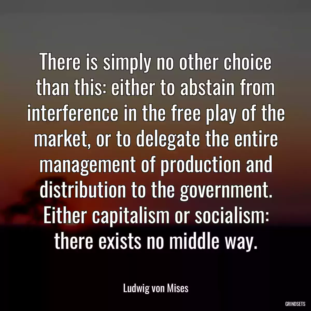 There is simply no other choice than this: either to abstain from interference in the free play of the market, or to delegate the entire management of production and distribution to the government. Either capitalism or socialism: there exists no middle way.