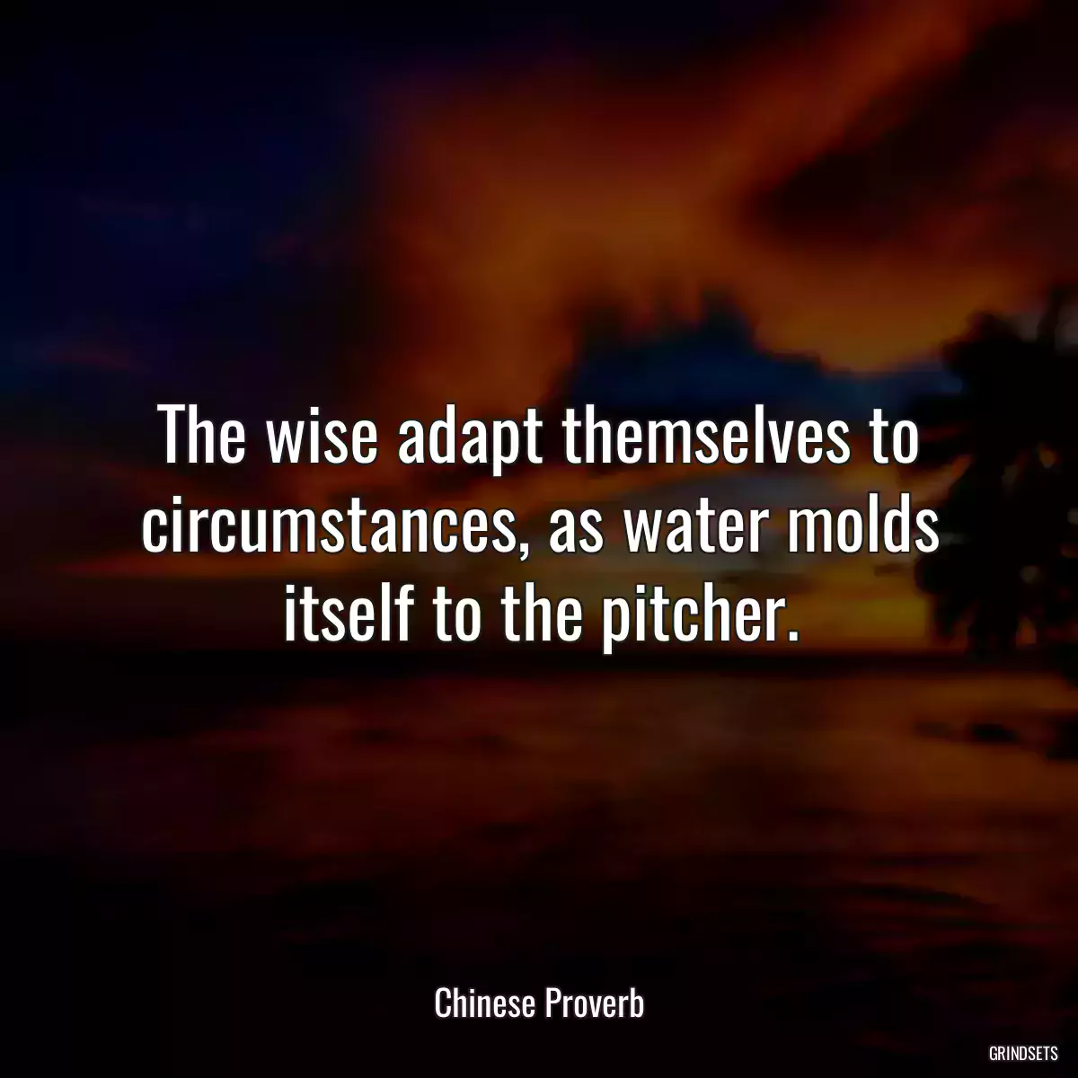 The wise adapt themselves to circumstances, as water molds itself to the pitcher.