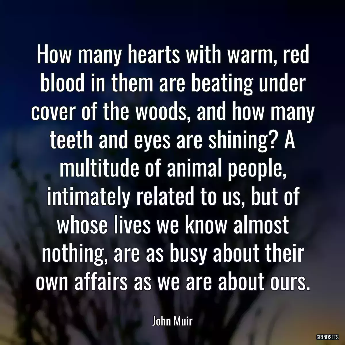 How many hearts with warm, red blood in them are beating under cover of the woods, and how many teeth and eyes are shining? A multitude of animal people, intimately related to us, but of whose lives we know almost nothing, are as busy about their own affairs as we are about ours.