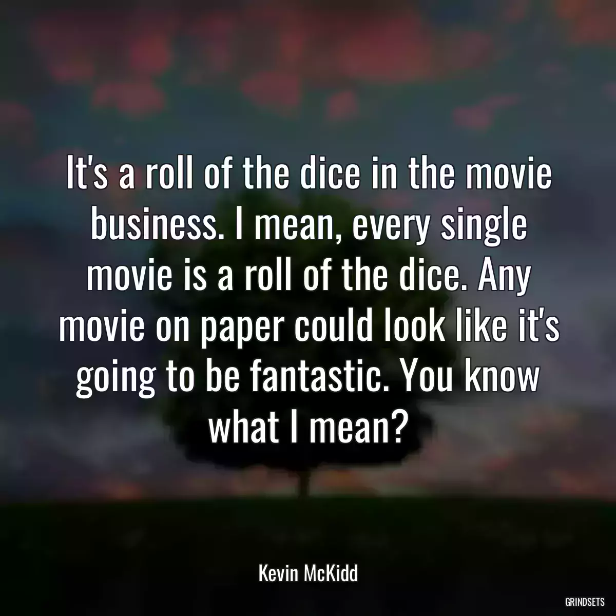 It\'s a roll of the dice in the movie business. I mean, every single movie is a roll of the dice. Any movie on paper could look like it\'s going to be fantastic. You know what I mean?