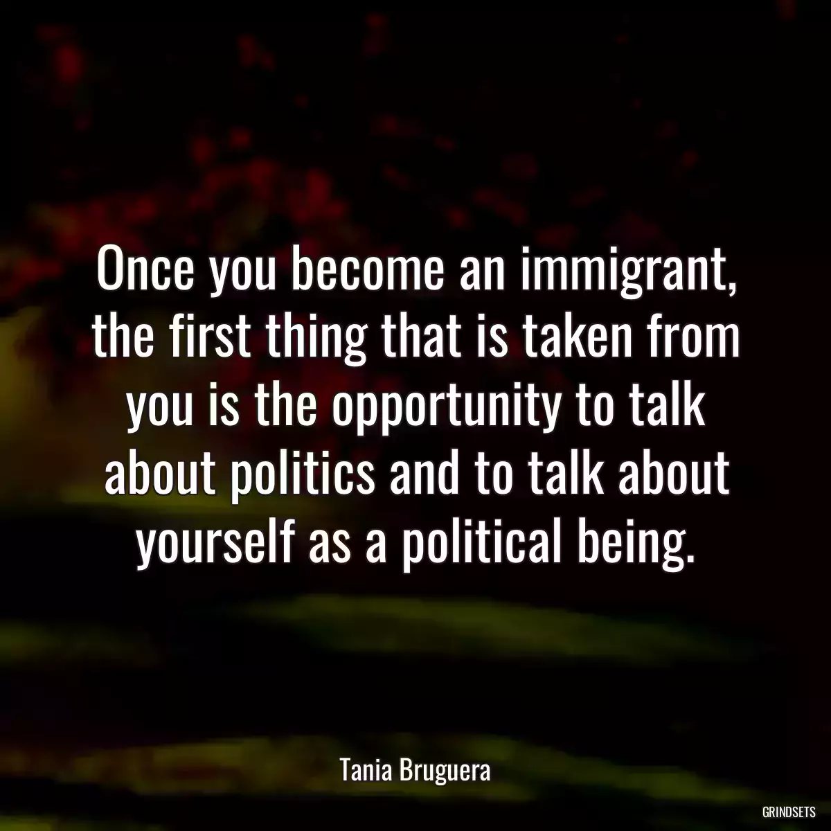 Once you become an immigrant, the first thing that is taken from you is the opportunity to talk about politics and to talk about yourself as a political being.