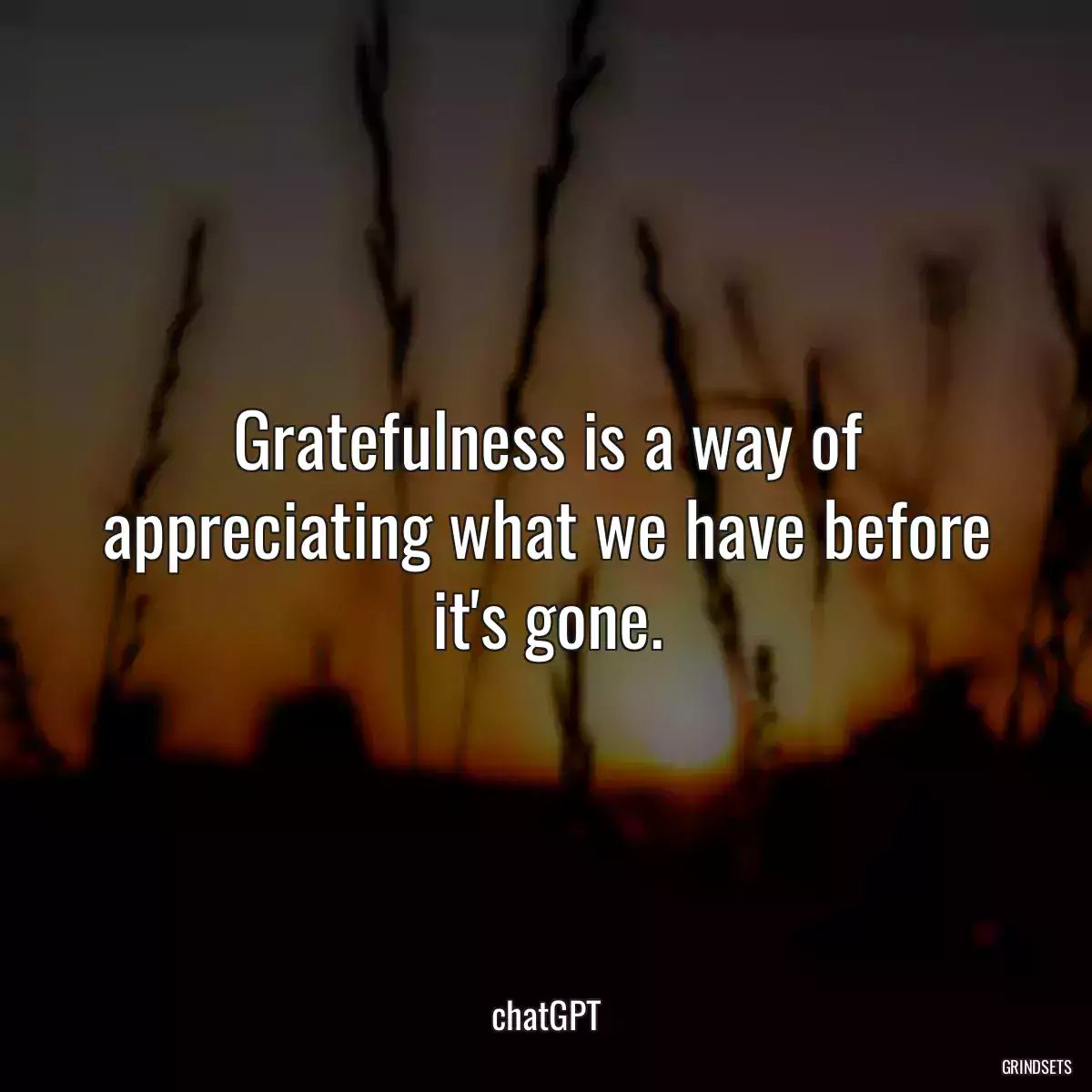 Gratefulness is a way of appreciating what we have before it\'s gone.