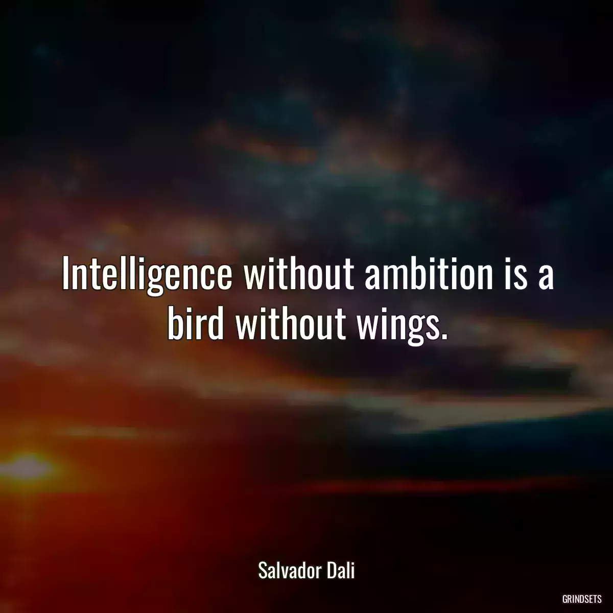 Intelligence without ambition is a bird without wings.