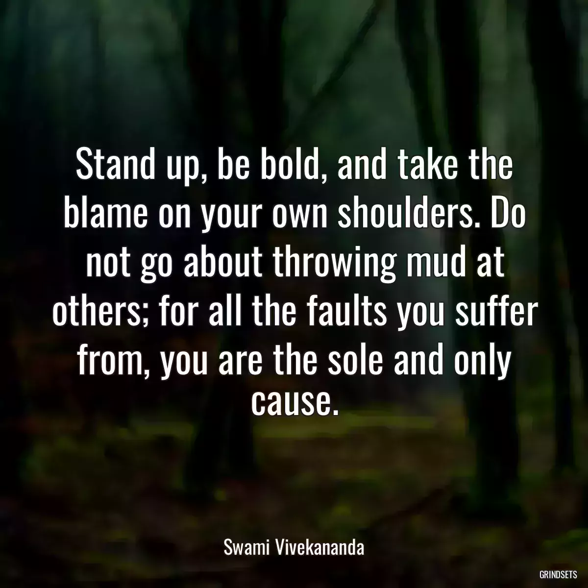 Stand up, be bold, and take the blame on your own shoulders. Do not go about throwing mud at others; for all the faults you suffer from, you are the sole and only cause.