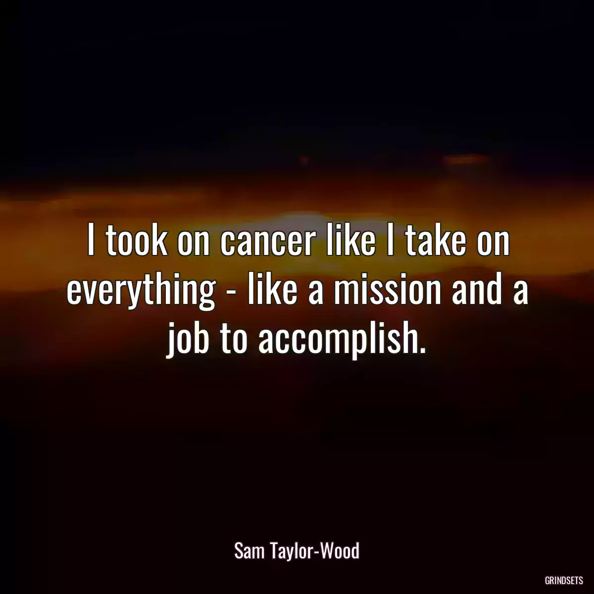 I took on cancer like I take on everything - like a mission and a job to accomplish.