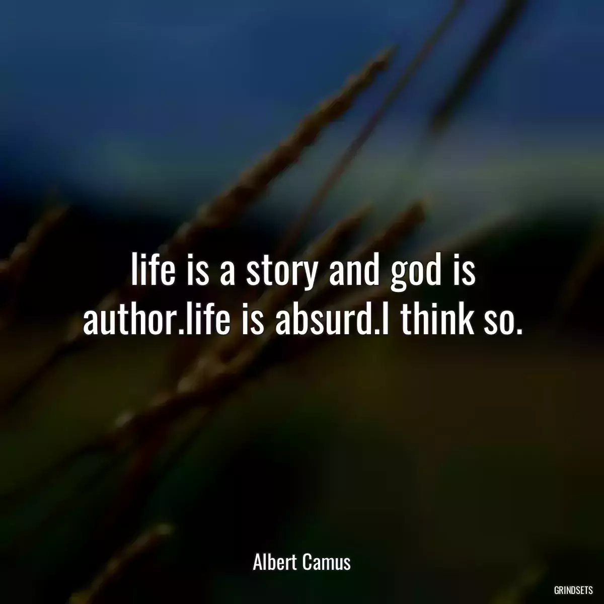 life is a story and god is author.life is absurd.I think so.