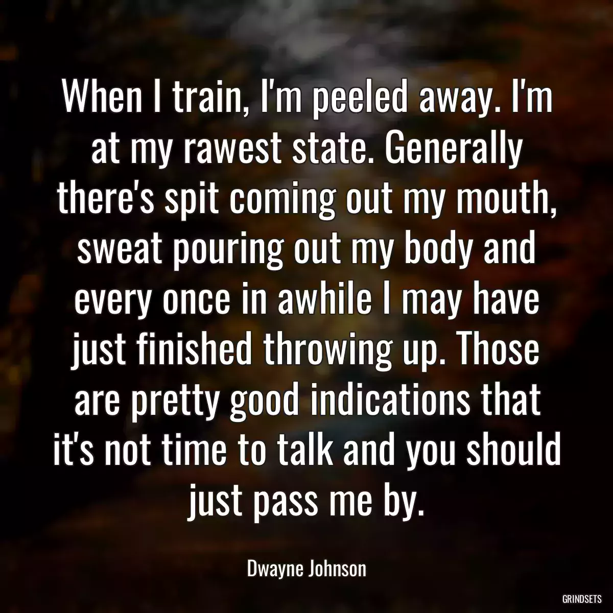 When I train, I\'m peeled away. I\'m at my rawest state. Generally there\'s spit coming out my mouth, sweat pouring out my body and every once in awhile I may have just finished throwing up. Those are pretty good indications that it\'s not time to talk and you should just pass me by.