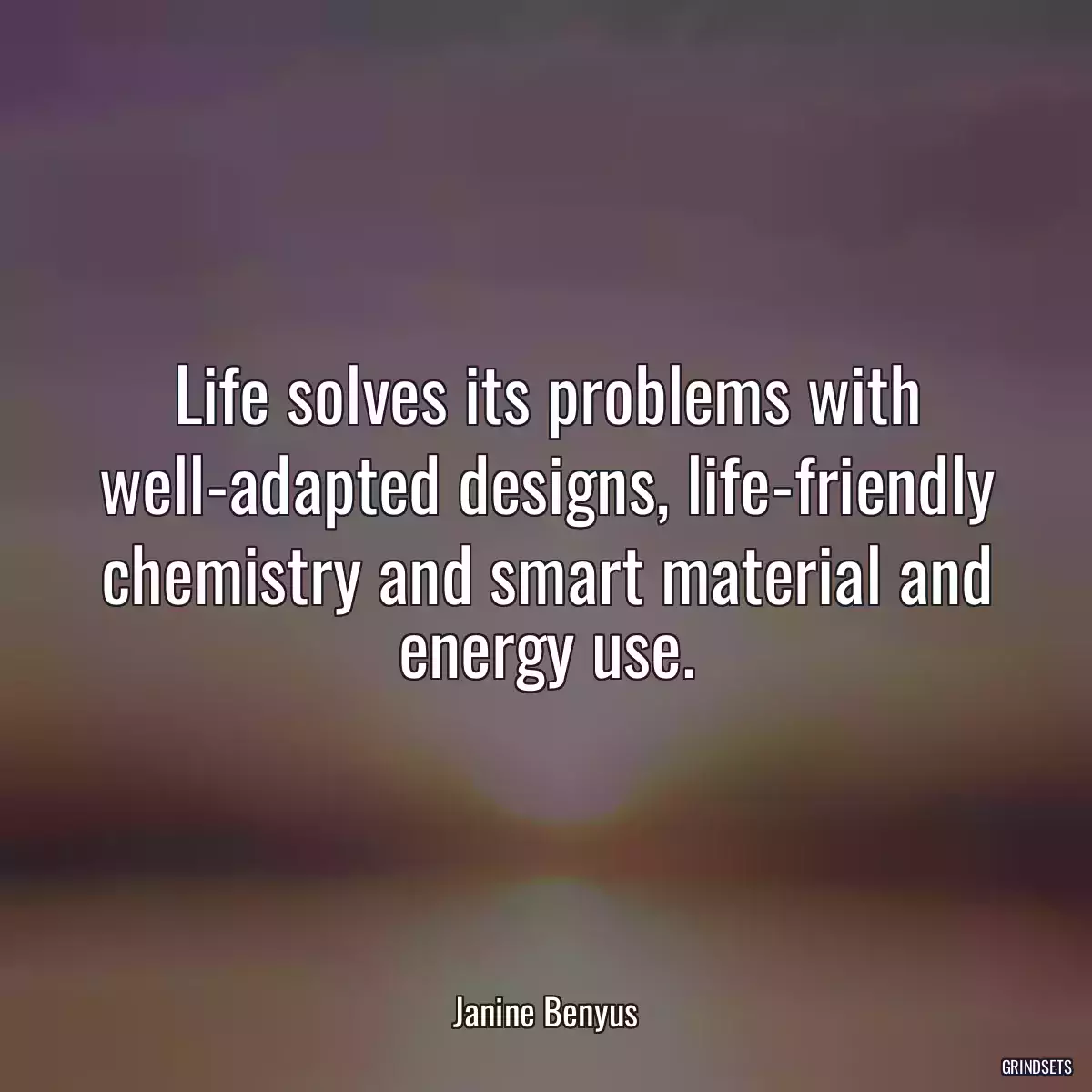 Life solves its problems with well-adapted designs, life-friendly chemistry and smart material and energy use.