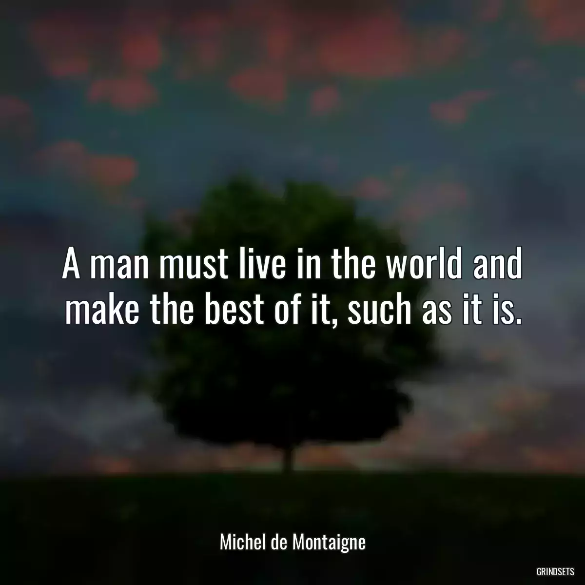 A man must live in the world and make the best of it, such as it is.