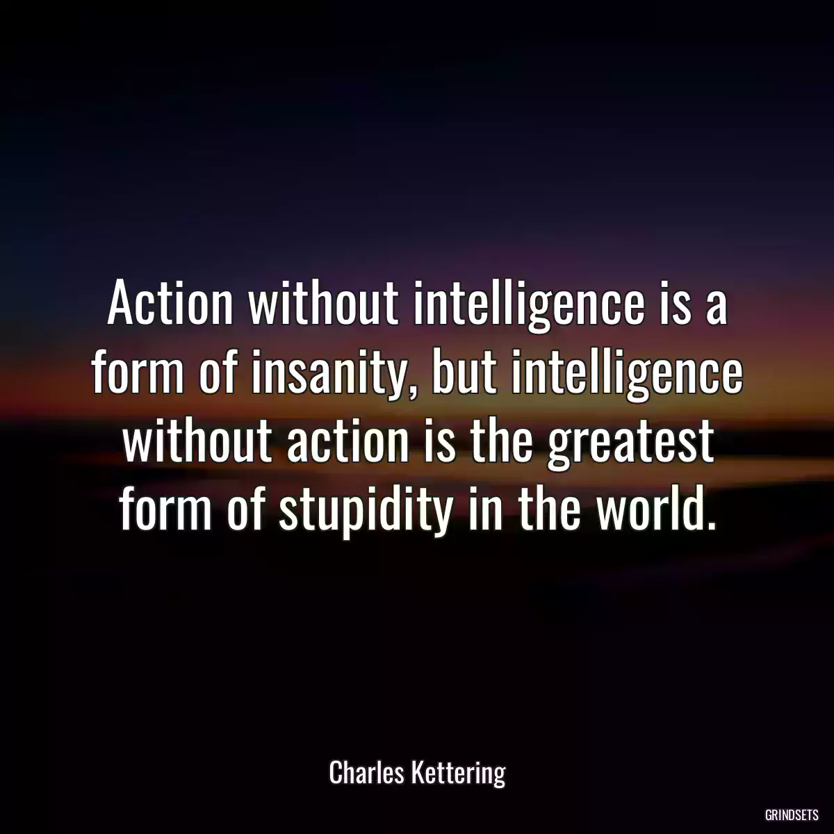 Action without intelligence is a form of insanity, but intelligence without action is the greatest form of stupidity in the world.