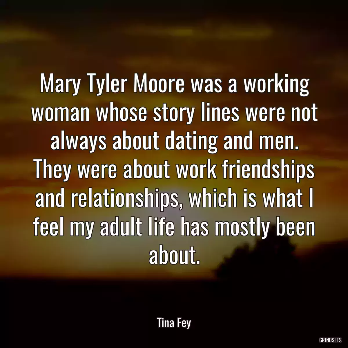 Mary Tyler Moore was a working woman whose story lines were not always about dating and men. They were about work friendships and relationships, which is what I feel my adult life has mostly been about.