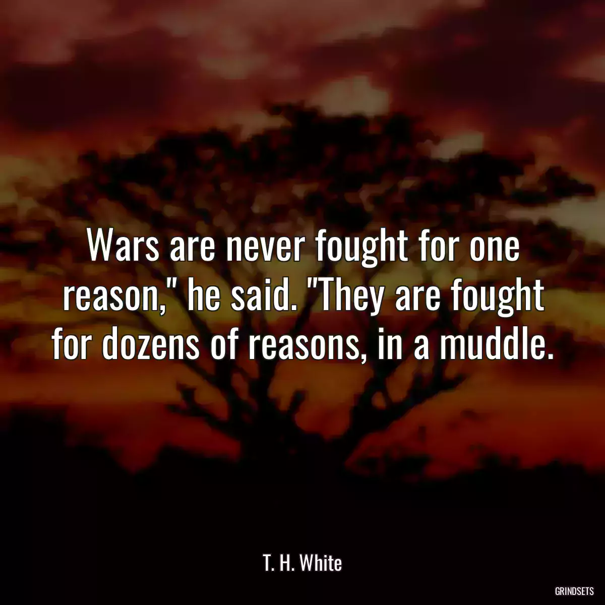 Wars are never fought for one reason,\