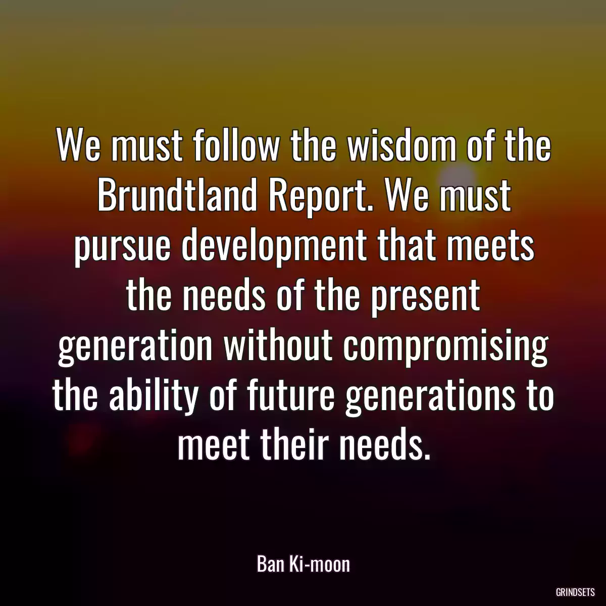 We must follow the wisdom of the Brundtland Report. We must pursue development that meets the needs of the present generation without compromising the ability of future generations to meet their needs.