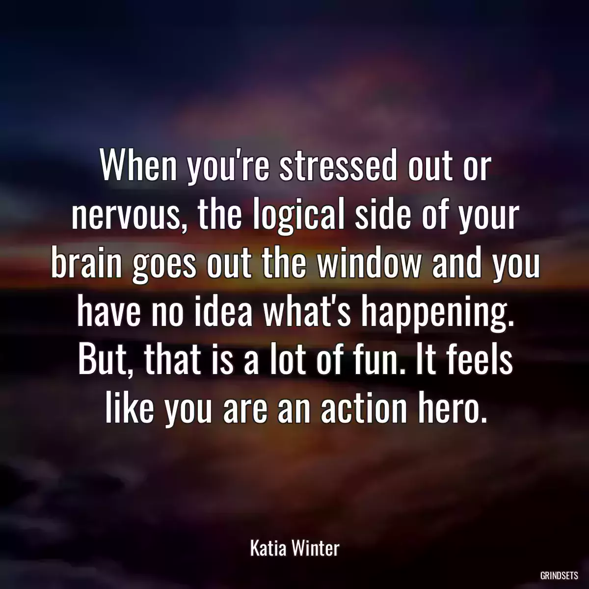 When you\'re stressed out or nervous, the logical side of your brain goes out the window and you have no idea what\'s happening. But, that is a lot of fun. It feels like you are an action hero.