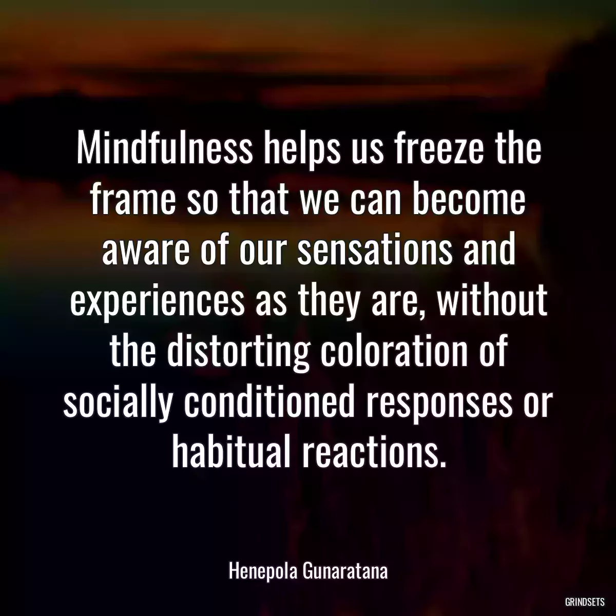 Mindfulness helps us freeze the frame so that we can become aware of our sensations and experiences as they are, without the distorting coloration of socially conditioned responses or habitual reactions.