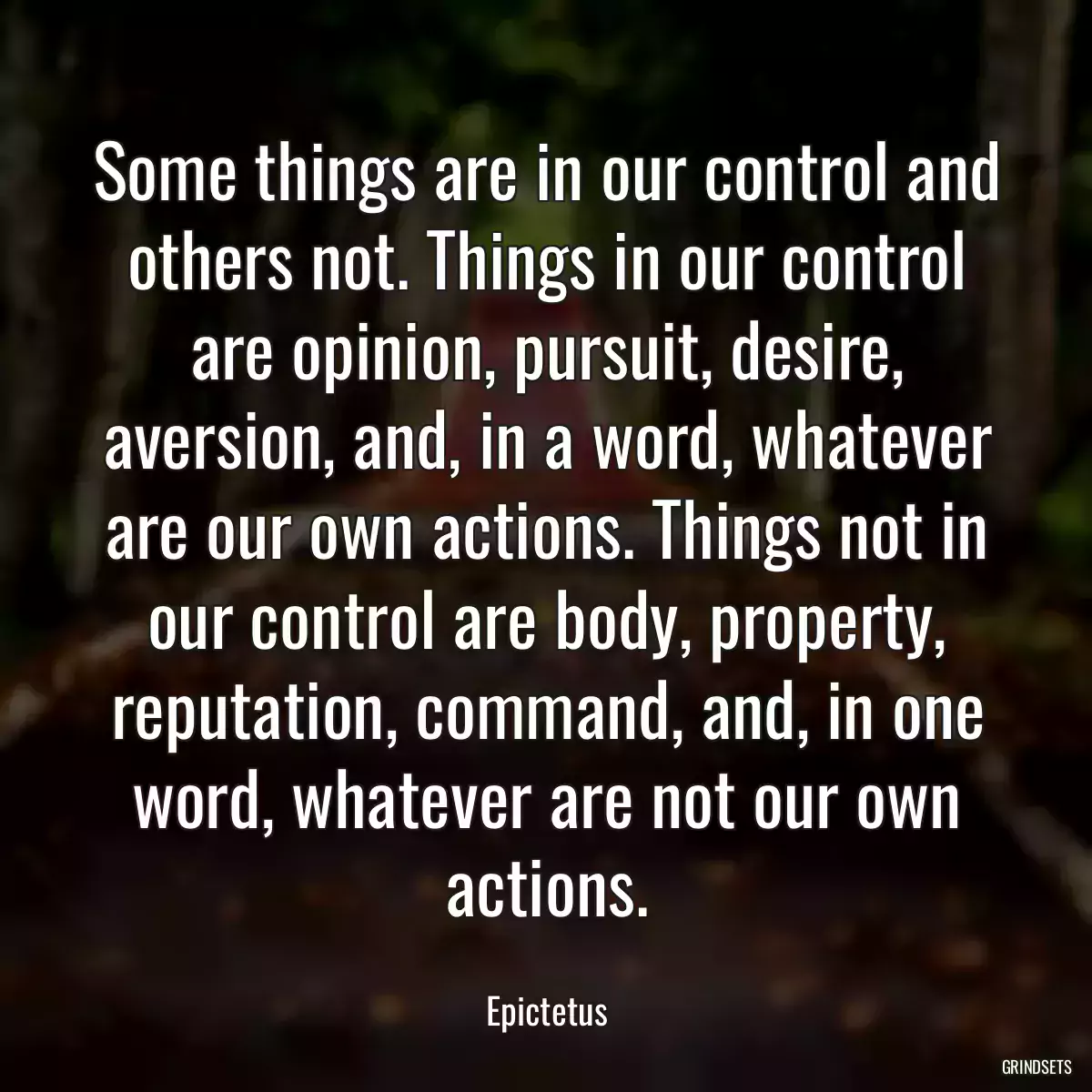 Some things are in our control and others not. Things in our control are opinion, pursuit, desire, aversion, and, in a word, whatever are our own actions. Things not in our control are body, property, reputation, command, and, in one word, whatever are not our own actions.