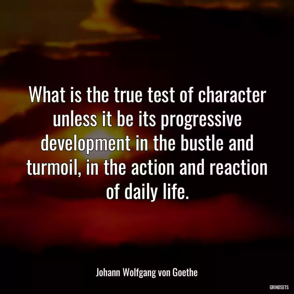 What is the true test of character unless it be its progressive development in the bustle and turmoil, in the action and reaction of daily life.