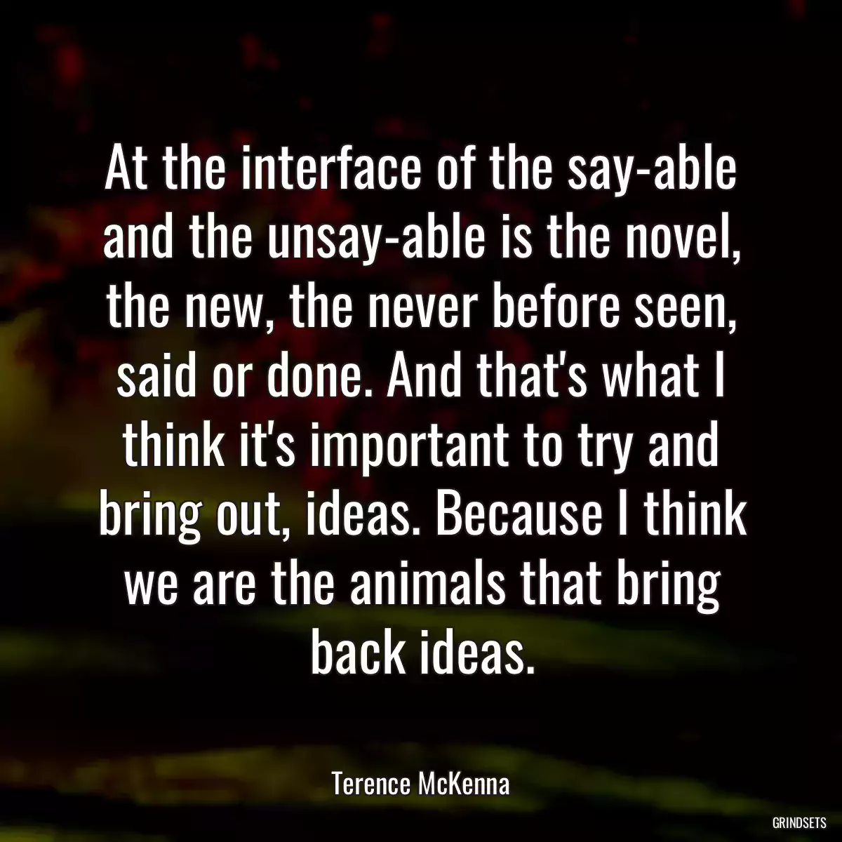 At the interface of the say-able and the unsay-able is the novel, the new, the never before seen, said or done. And that\'s what I think it\'s important to try and bring out, ideas. Because I think we are the animals that bring back ideas.