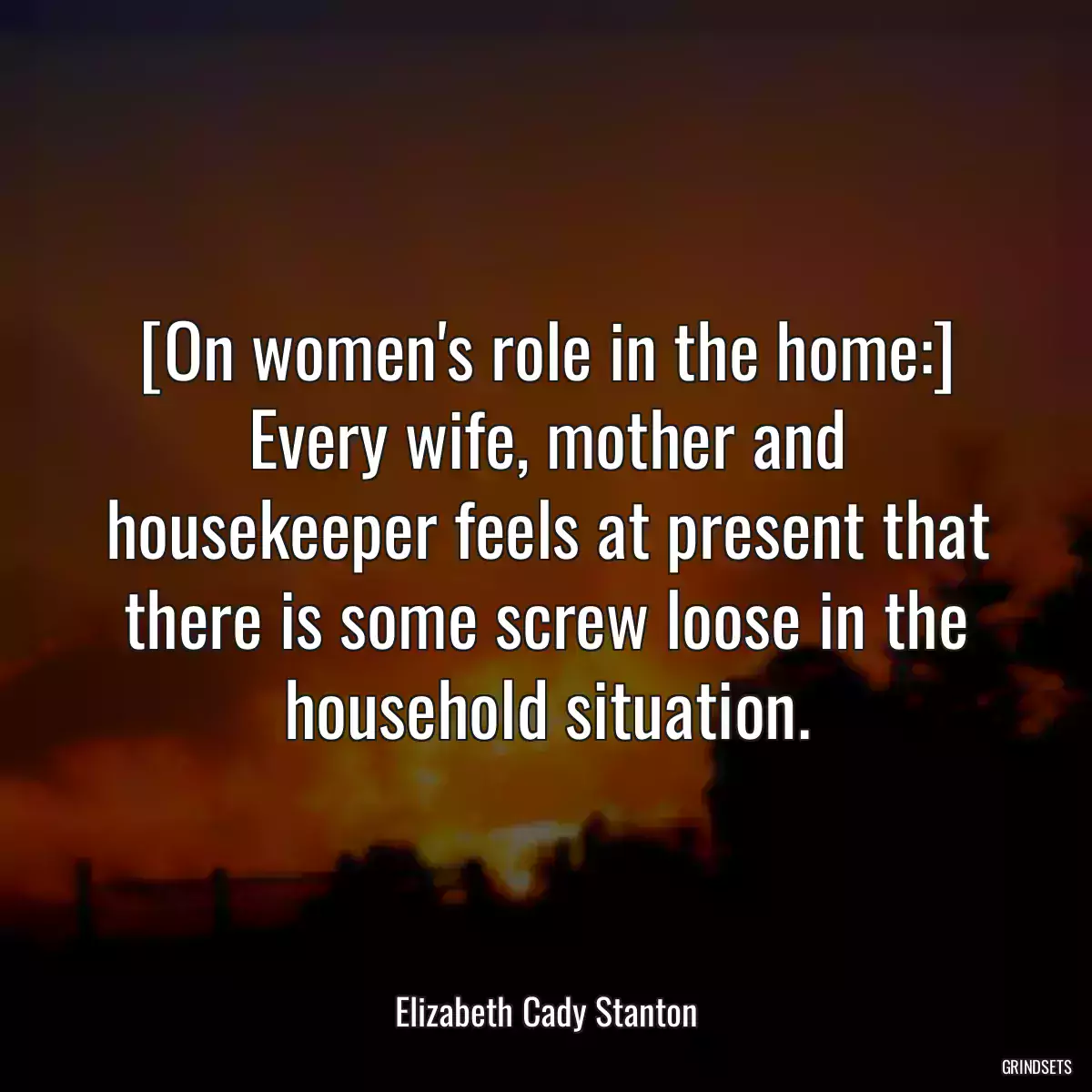 [On women\'s role in the home:] Every wife, mother and housekeeper feels at present that there is some screw loose in the household situation.