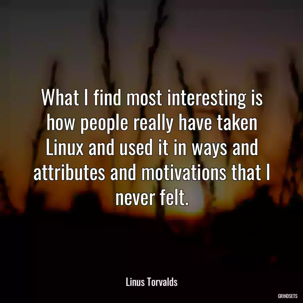 What I find most interesting is how people really have taken Linux and used it in ways and attributes and motivations that I never felt.