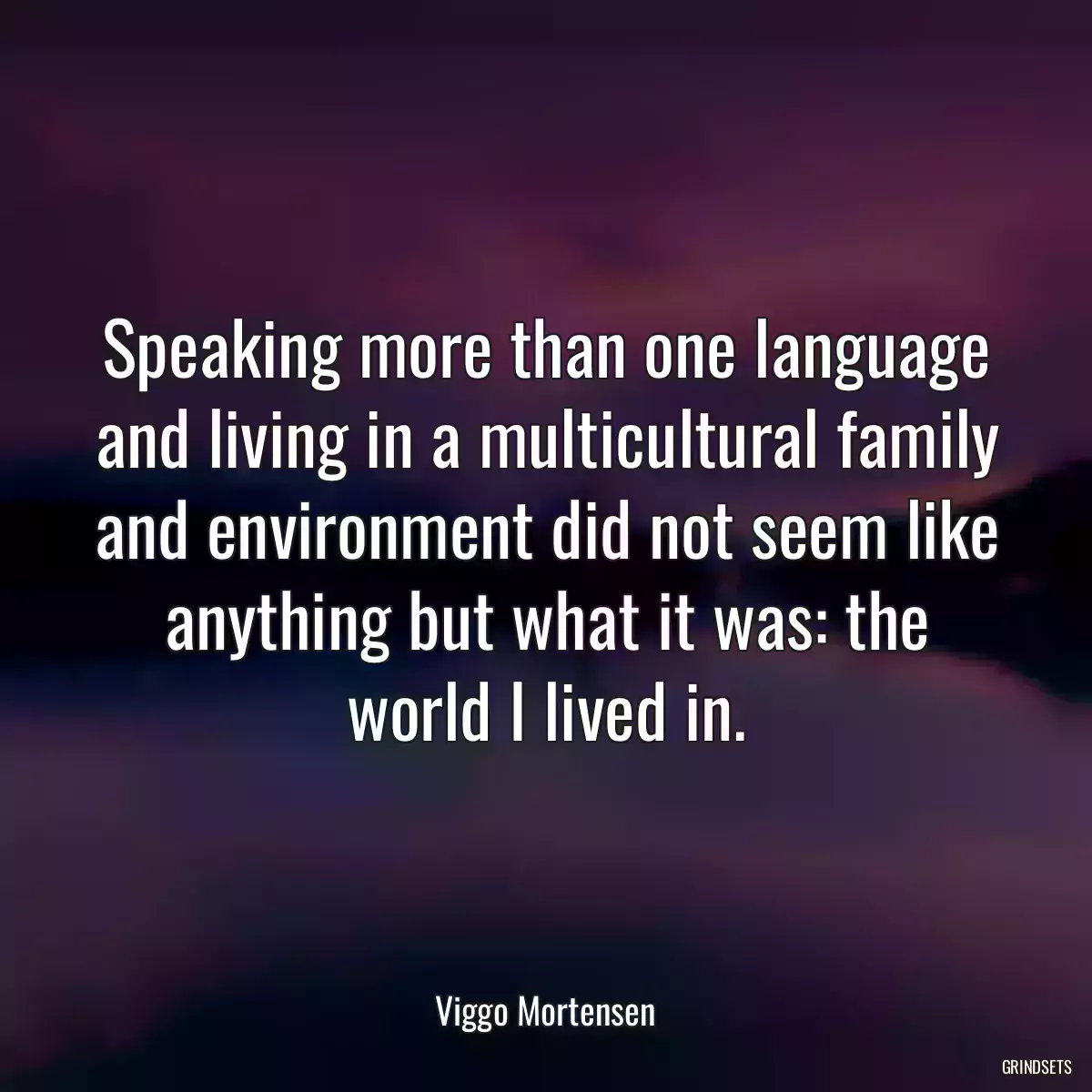 Speaking more than one language and living in a multicultural family and environment did not seem like anything but what it was: the world I lived in.