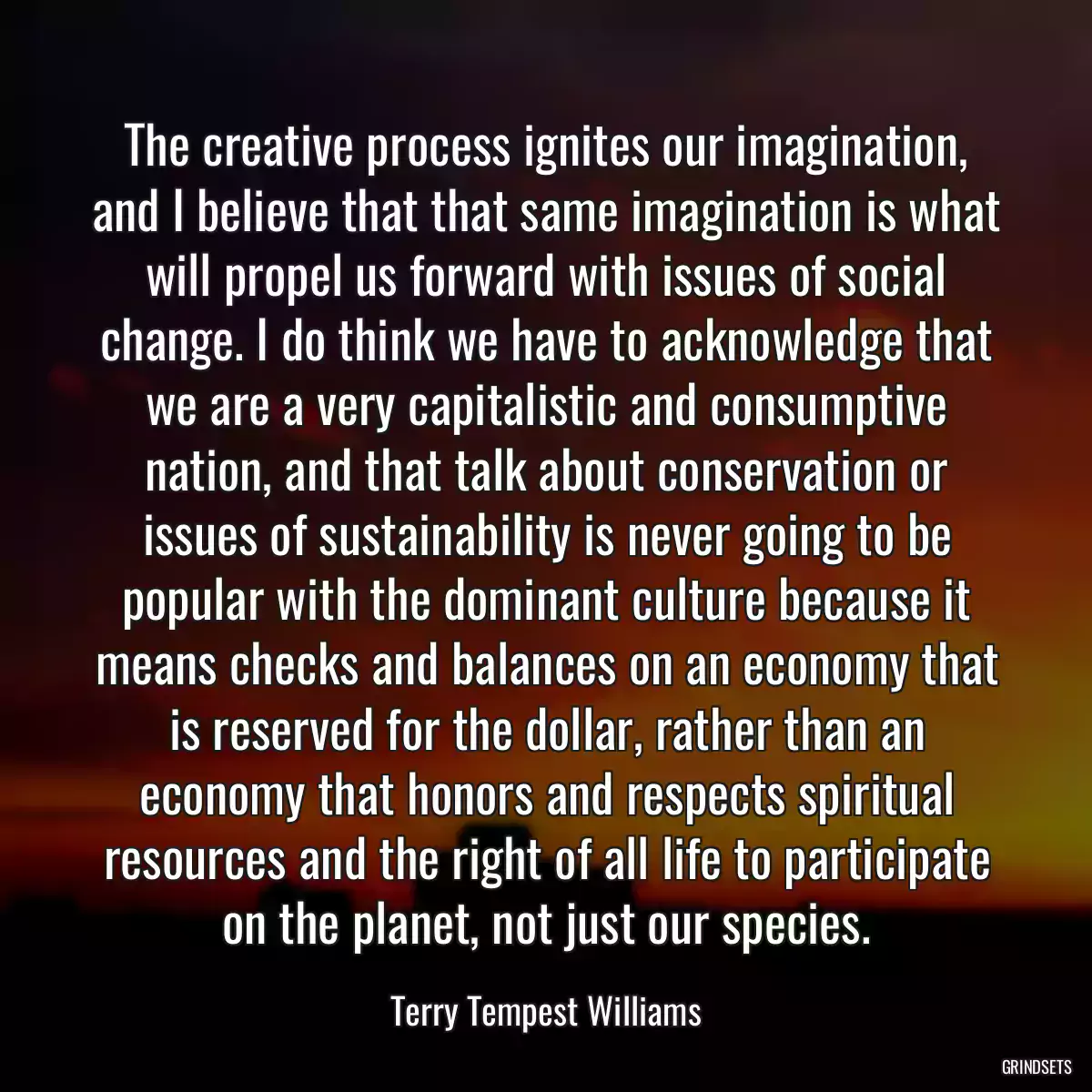 The creative process ignites our imagination, and I believe that that same imagination is what will propel us forward with issues of social change. I do think we have to acknowledge that we are a very capitalistic and consumptive nation, and that talk about conservation or issues of sustainability is never going to be popular with the dominant culture because it means checks and balances on an economy that is reserved for the dollar, rather than an economy that honors and respects spiritual resources and the right of all life to participate on the planet, not just our species.