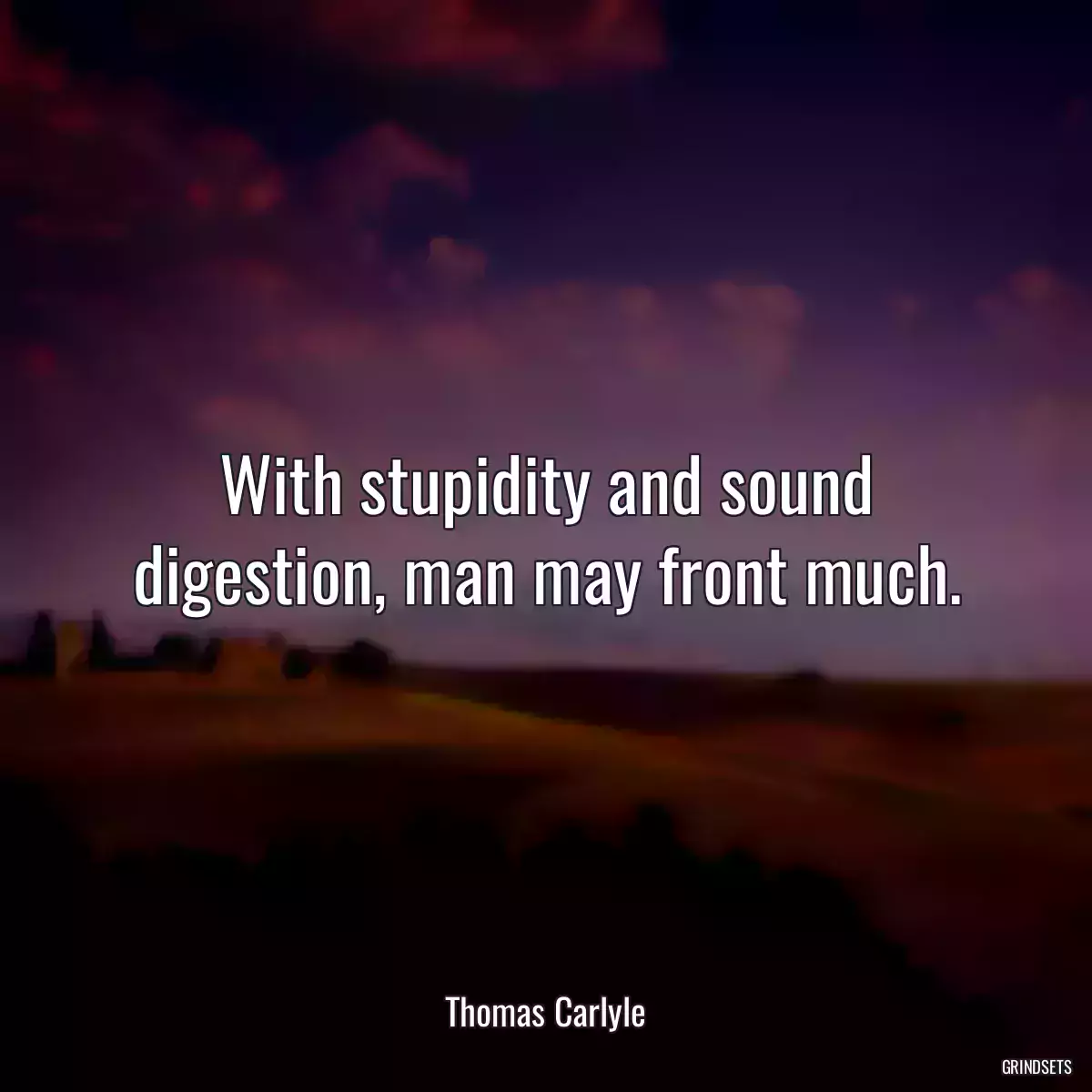With stupidity and sound digestion, man may front much.