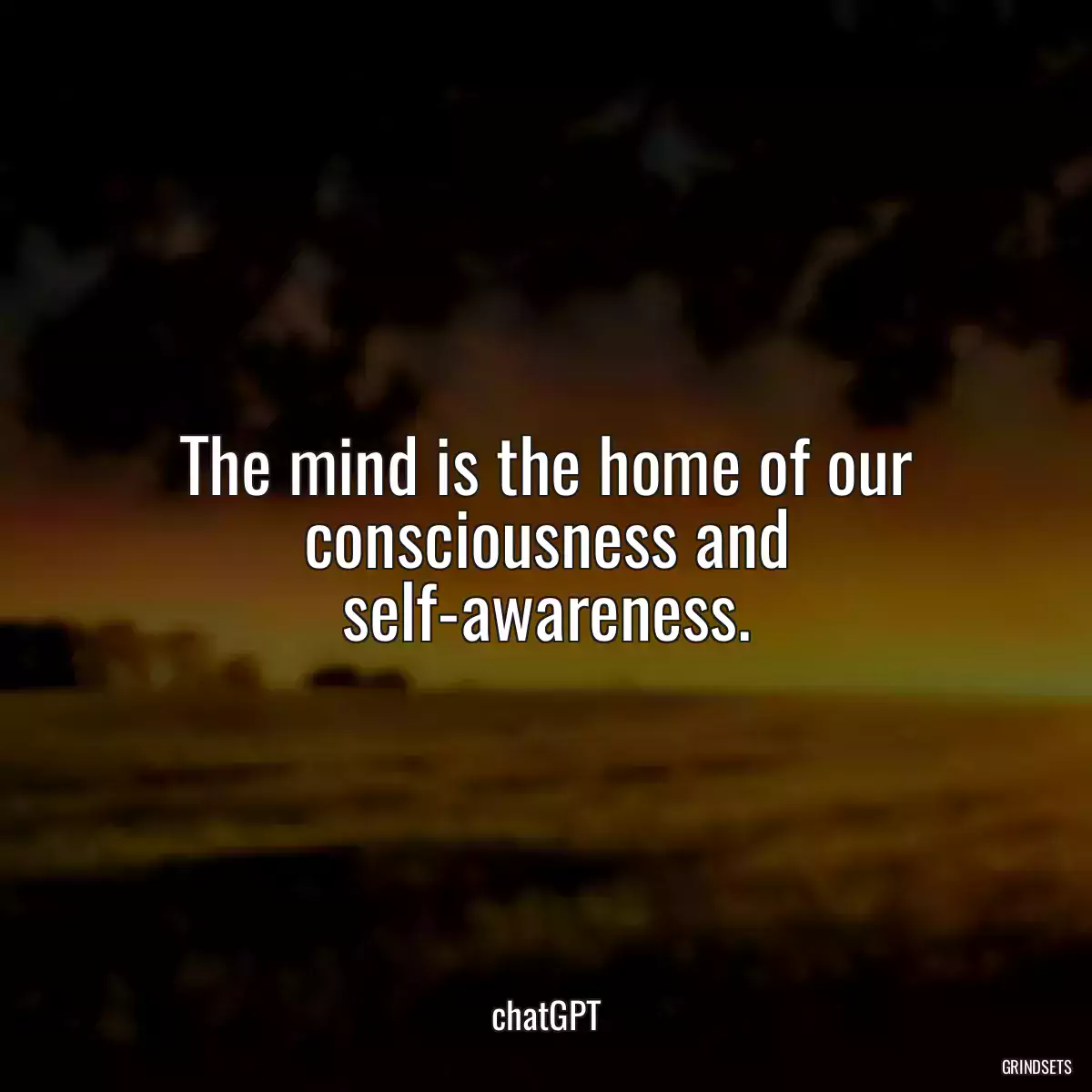 The mind is the home of our consciousness and self-awareness.