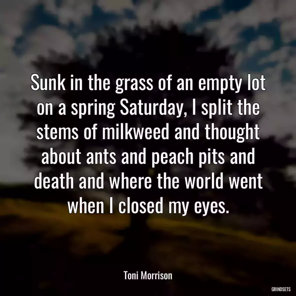 Sunk in the grass of an empty lot on a spring Saturday, I split the stems of milkweed and thought about ants and peach pits and death and where the world went when I closed my eyes.