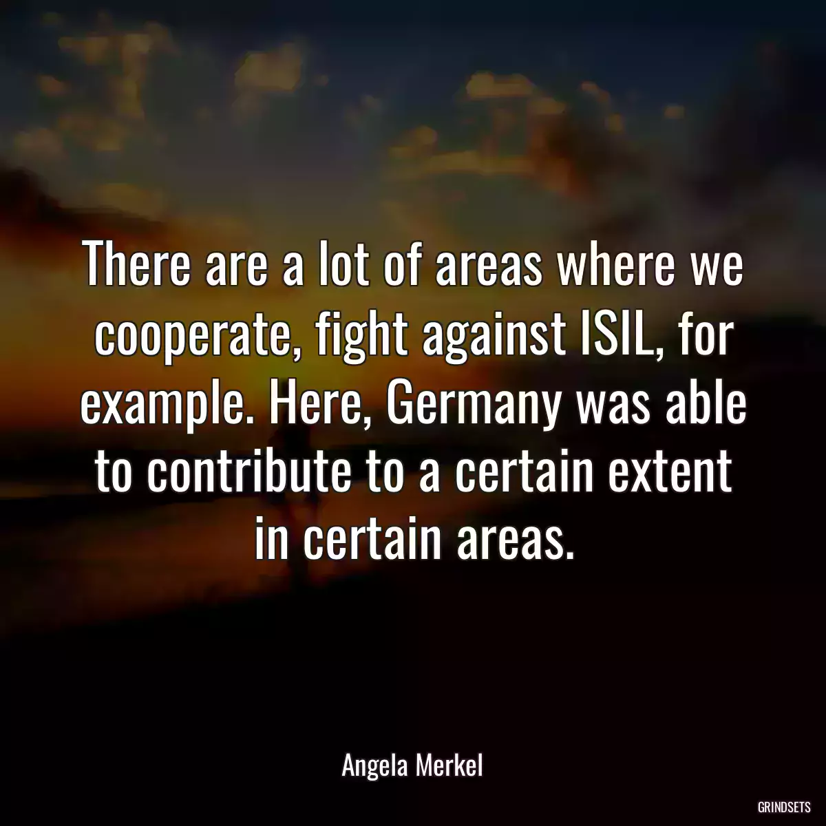 There are a lot of areas where we cooperate, fight against ISIL, for example. Here, Germany was able to contribute to a certain extent in certain areas.